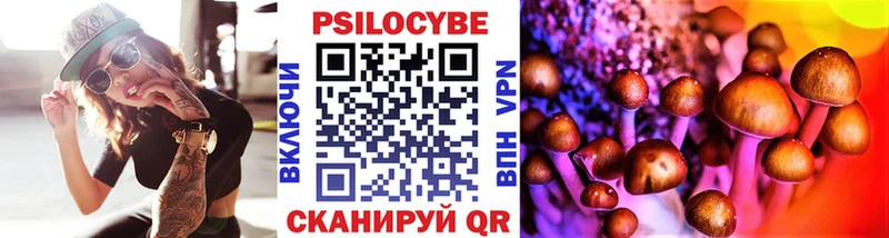 Галлюциногенные грибы Psilocybe  что такое   KRAKEN ССЫЛКА  Слободской 