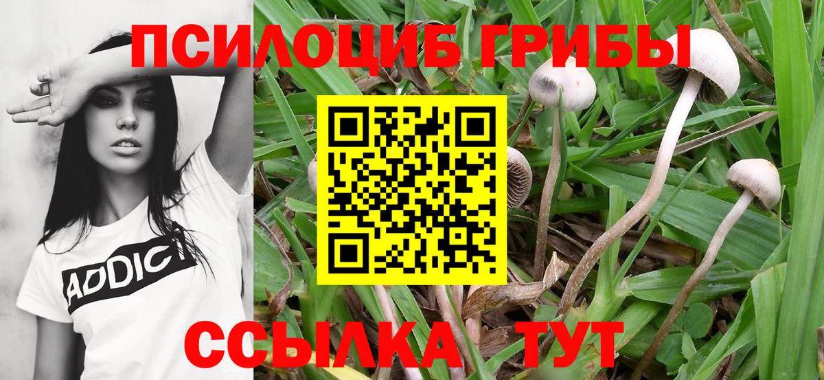 Cocaine  APVP СК кристаллы  Вход с VPN  ГАШИШ  МДМА  Конопля  Слободской  Мефедрон   МЕТ 