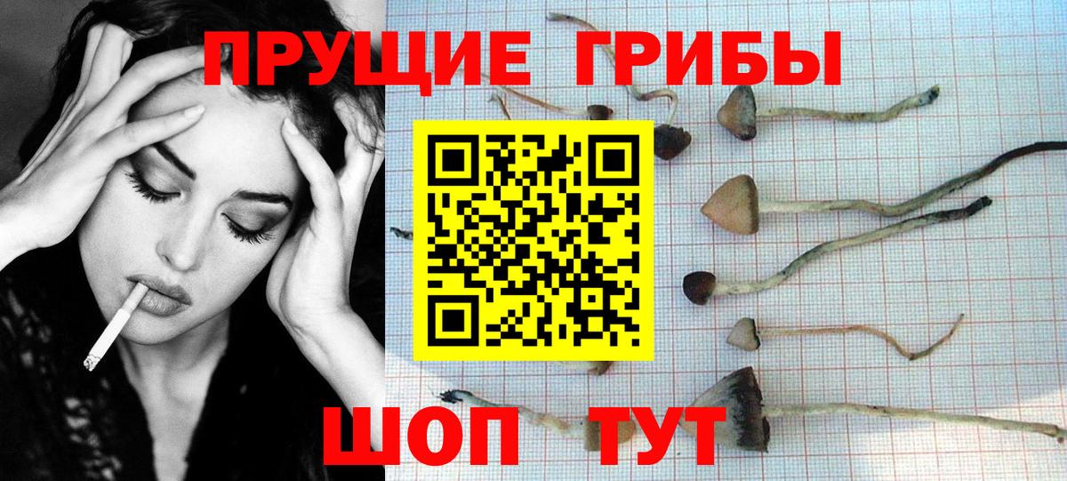 Псилоцибиновые грибы мухоморы Слободской